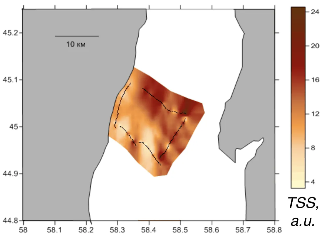 Interpolated total suspended matter field mapped along the lidar track, Aral Sea, Aral Sea, 2009