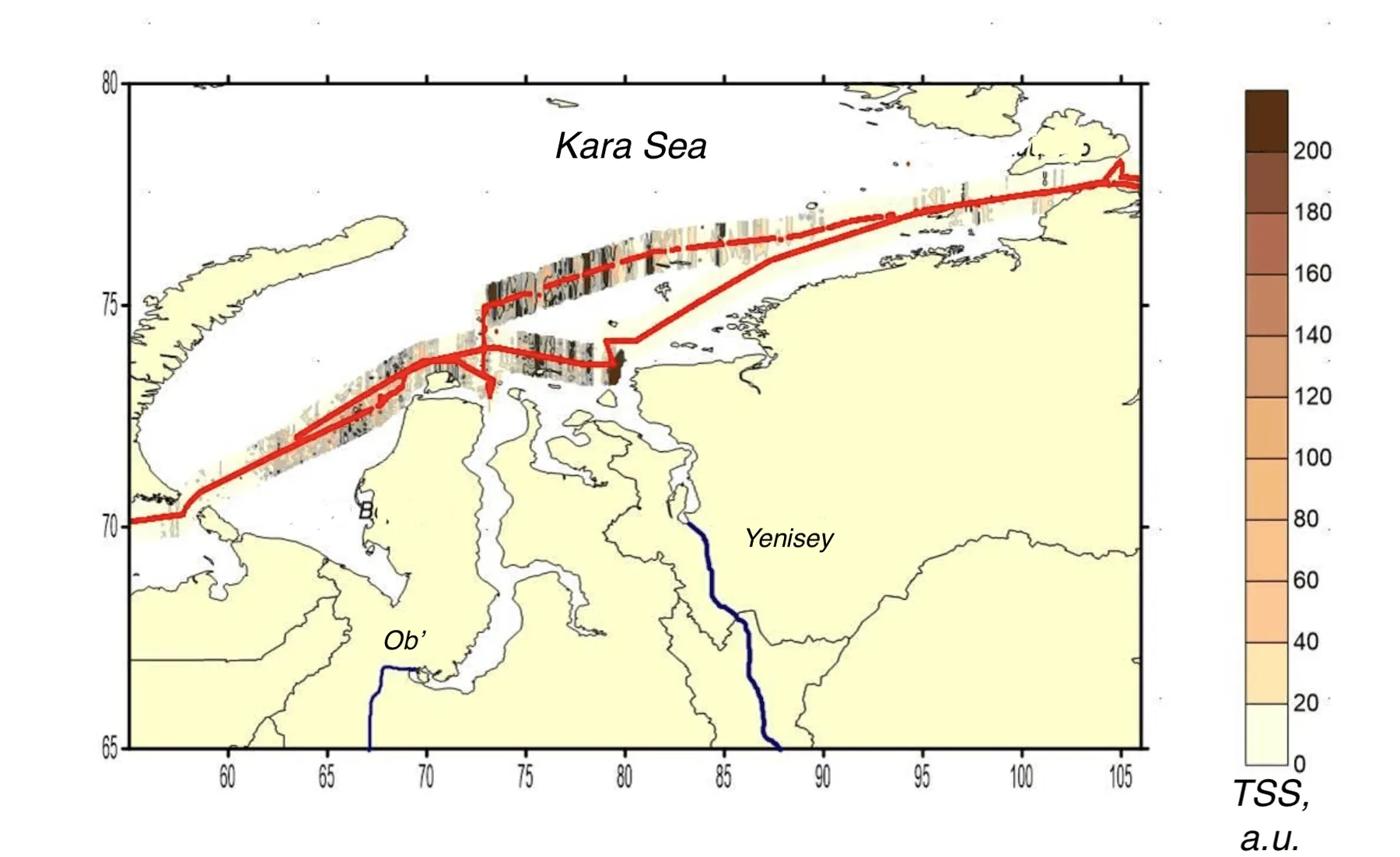 Interpolated total suspended matter field mapped along the lidar track, Kara, Laptev, East Siberian seas, Kara Sea leg