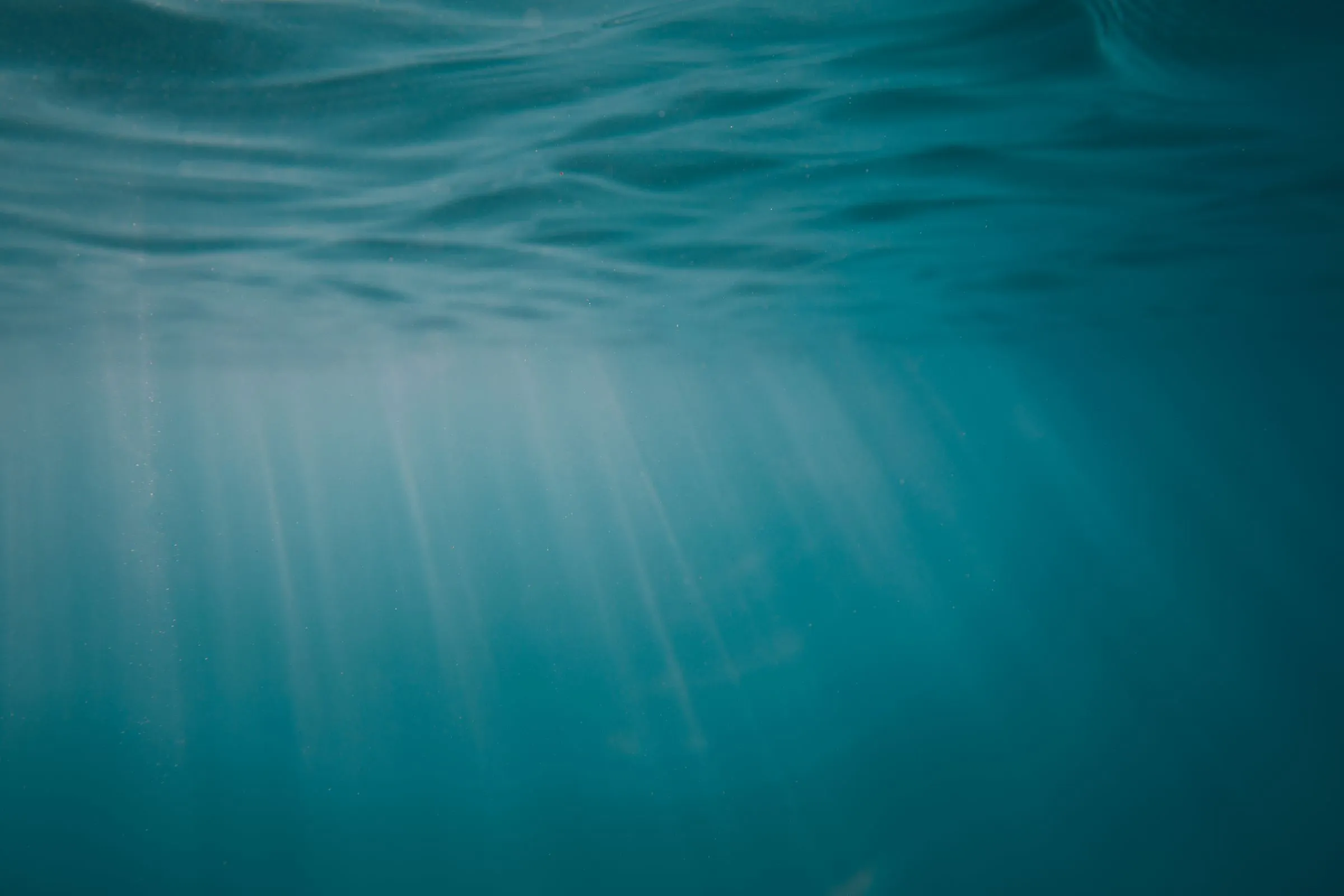 Sunlight falling through open water into the blue of the water column, seen from below the surface