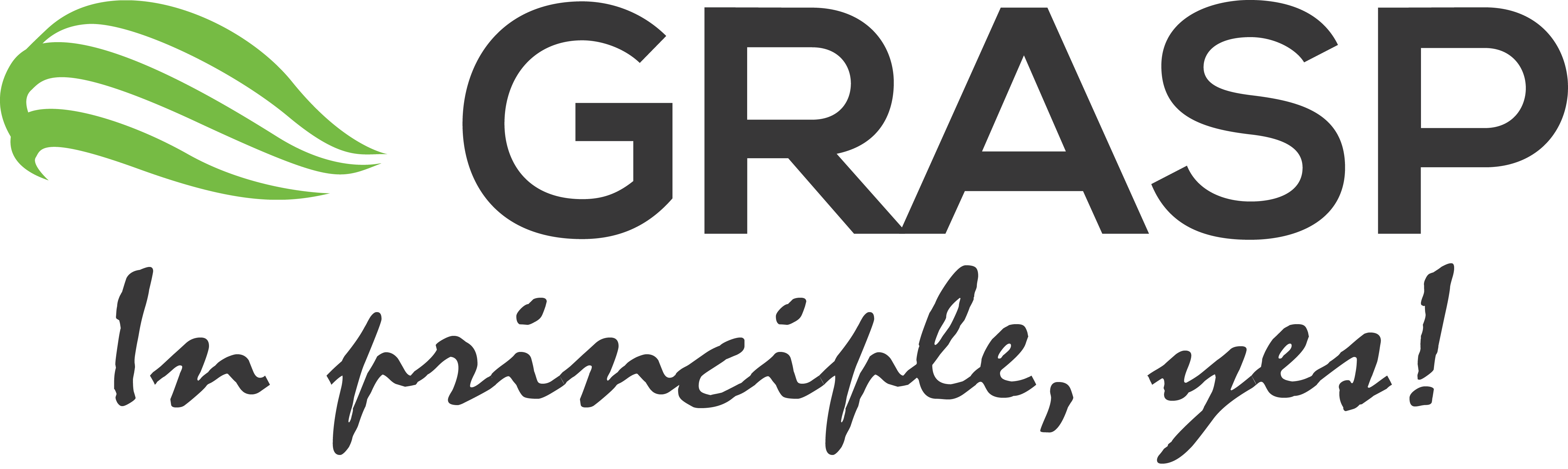 GRASP-SAS